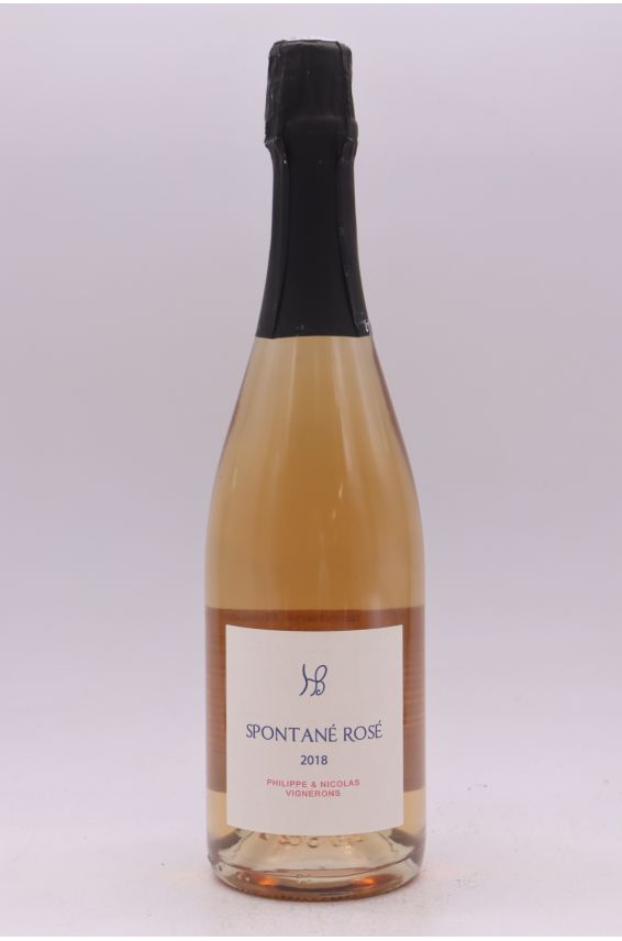 Hauts Baigneux Vin de France Spontané Rosé 2018