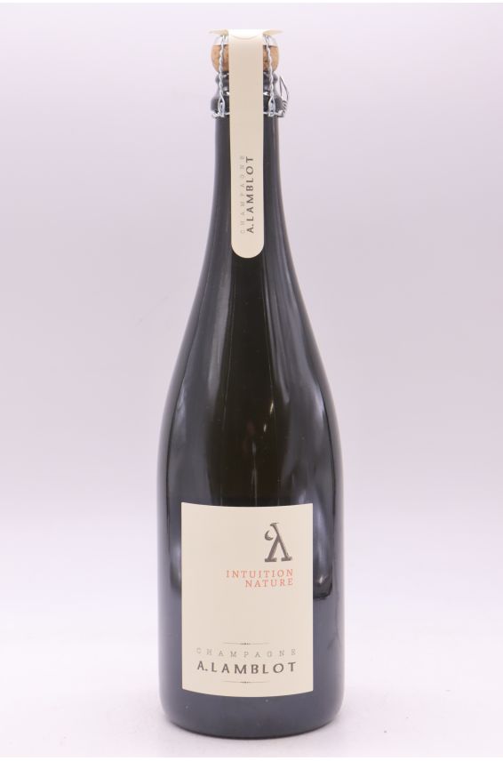 A. Lamblot Intuition Nature Brut Nature